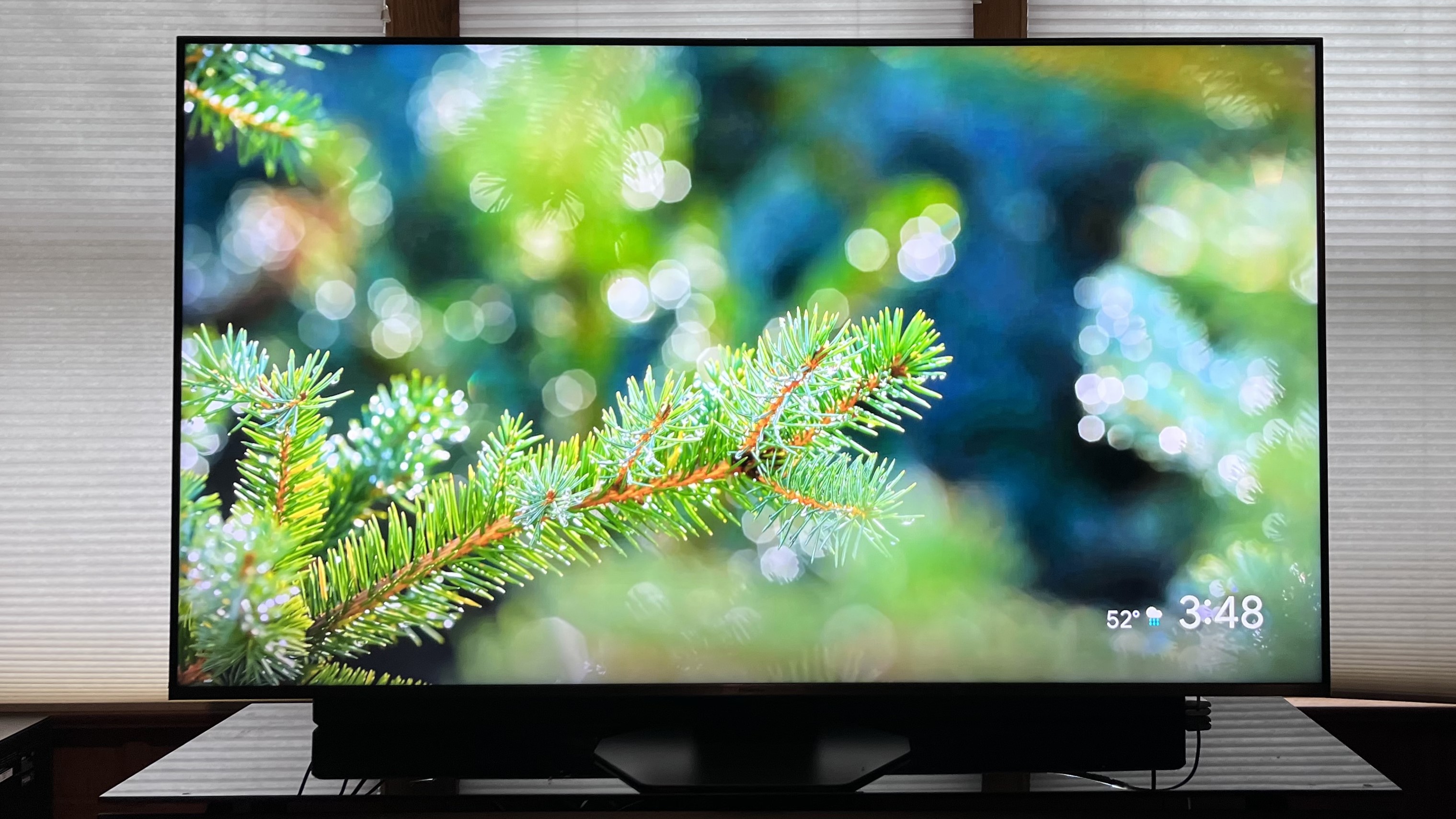 Hisense U8QG showing image of pine tree branch