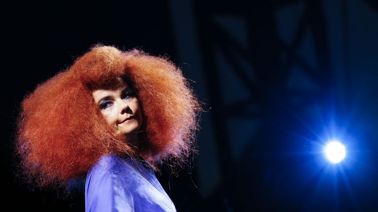 Bjork with big hair