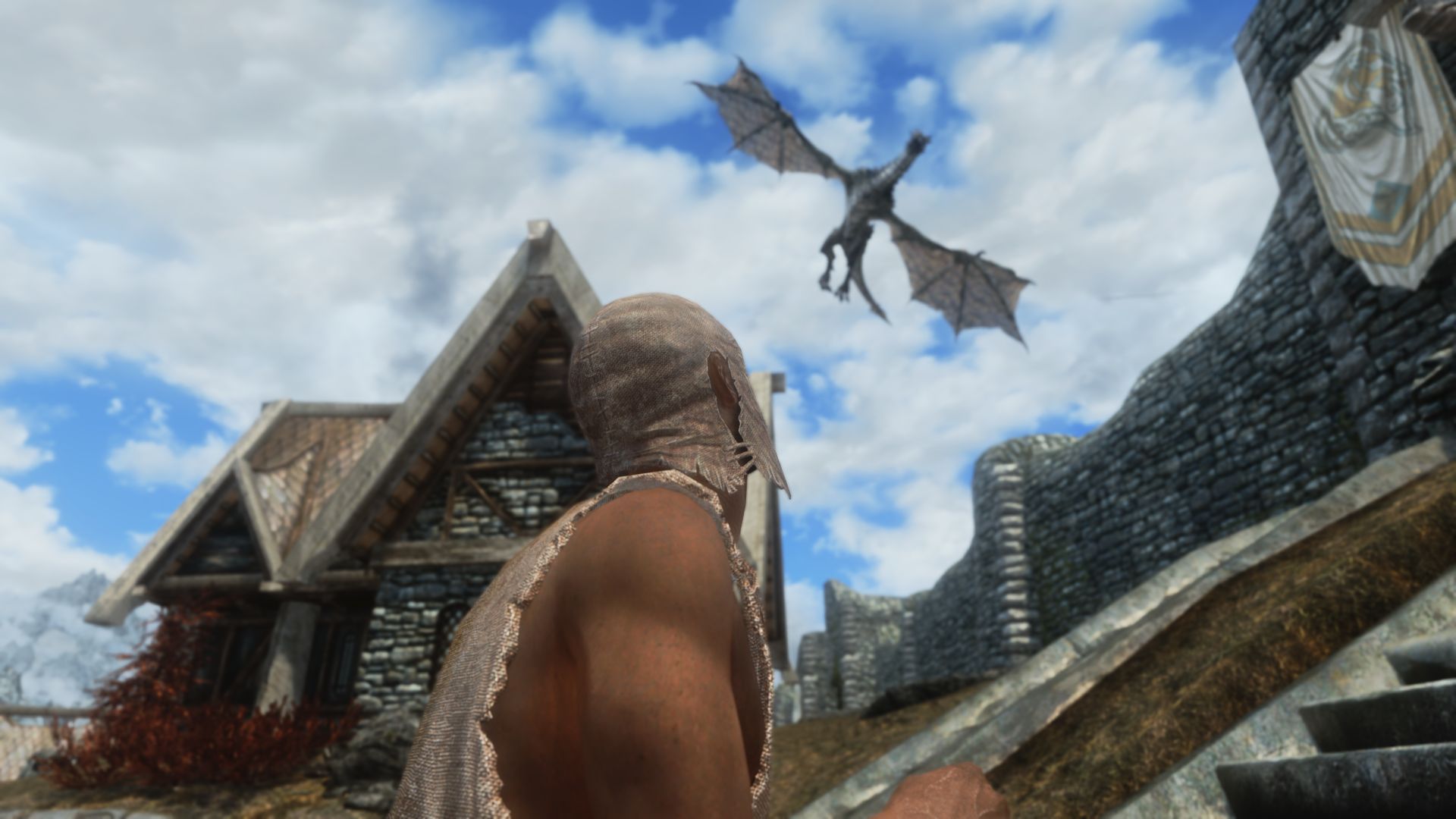 the best skyrim mods: immersive citizens