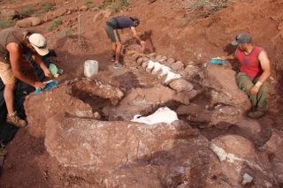 Researchers uncover parts of the titanosaur at the excavation site in Neuquén Province, Argentina