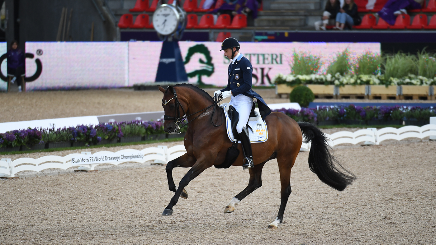 Patrik Kittel riding Touchdown at the World Dressage Championships 2023