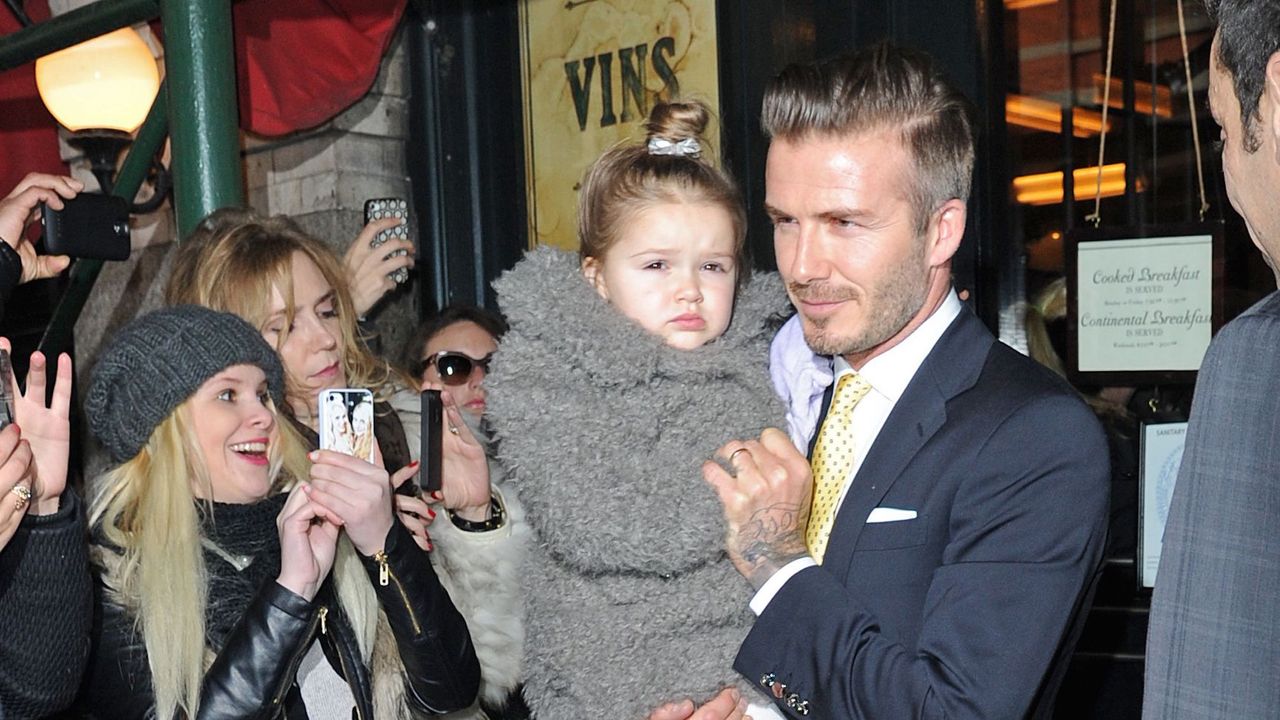 david beckham harper beckham