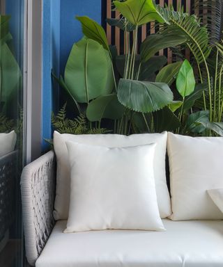 houseplants on balcony with cream chair and cushions