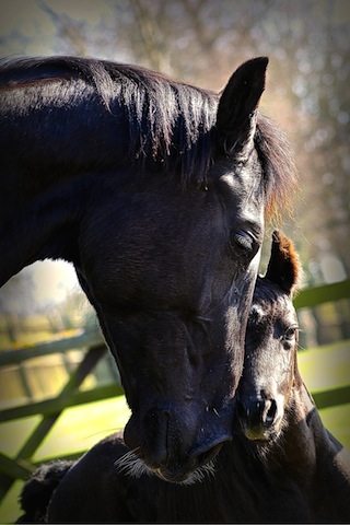 Picture by John McGivern