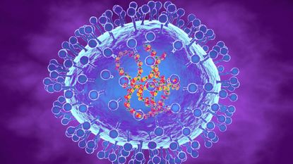 Artist's impression of an HMPV virus.