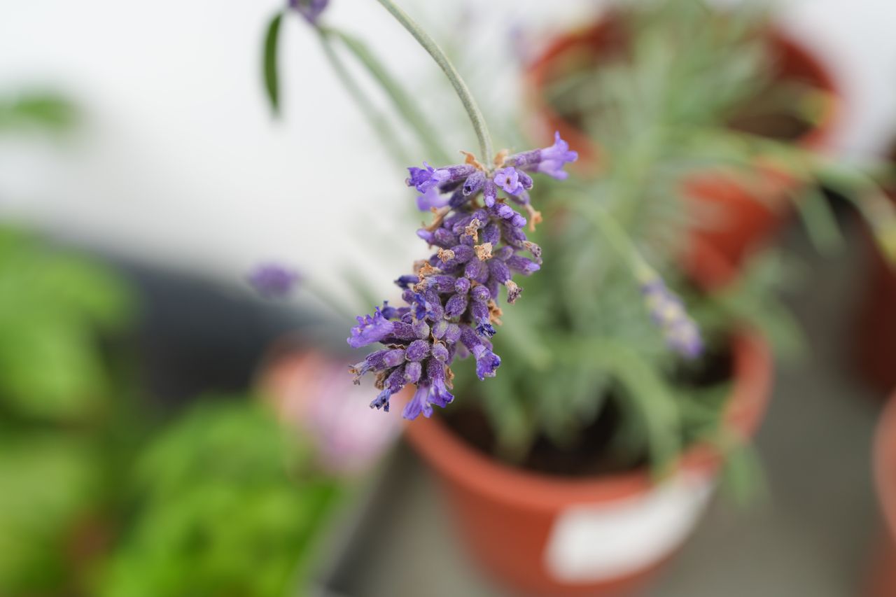 Taken on a Sony A7C II camera with Sony FE 16-35mm GM II lens