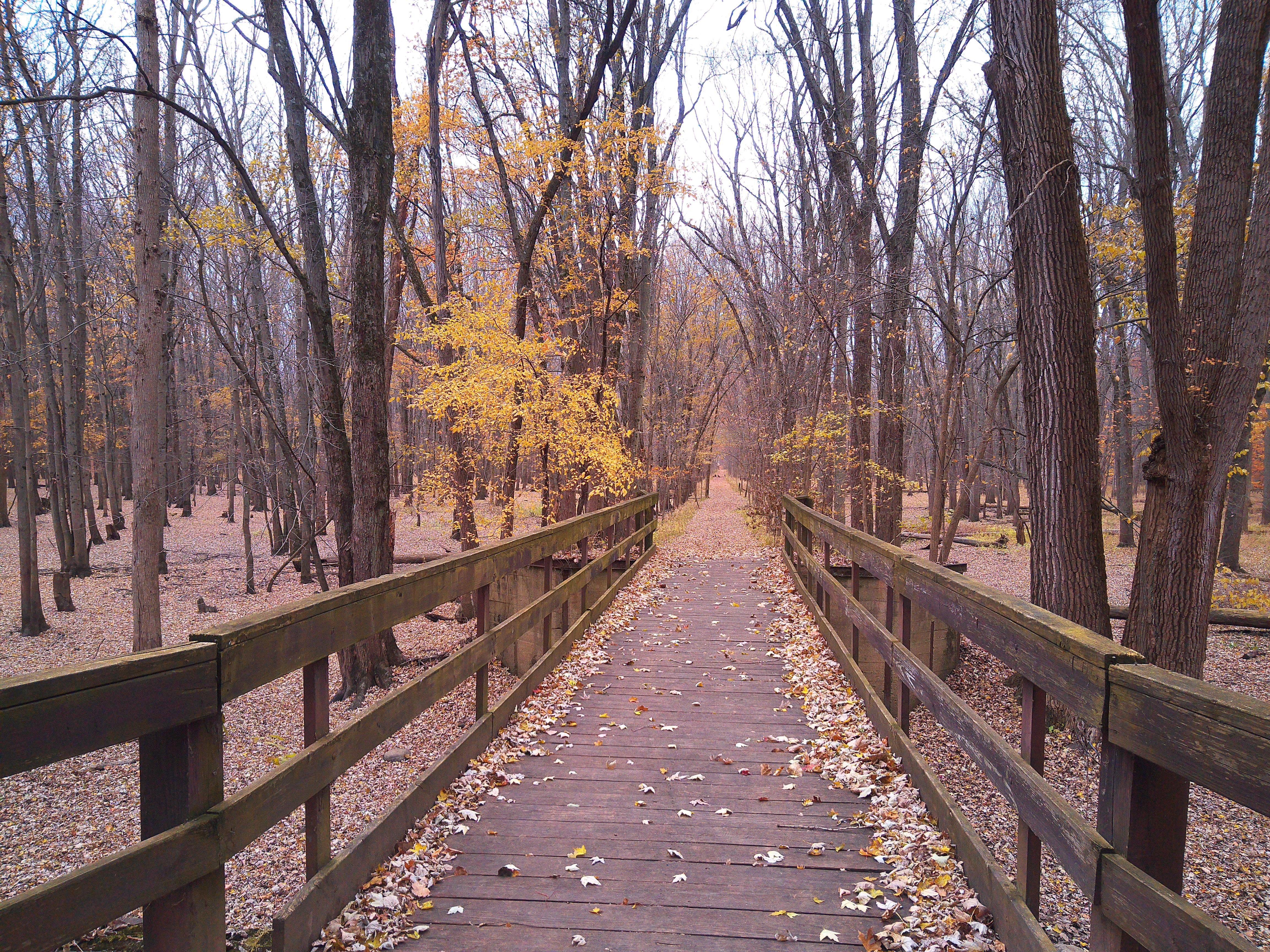 A sample image taken with the Camp Snap CS-Pro