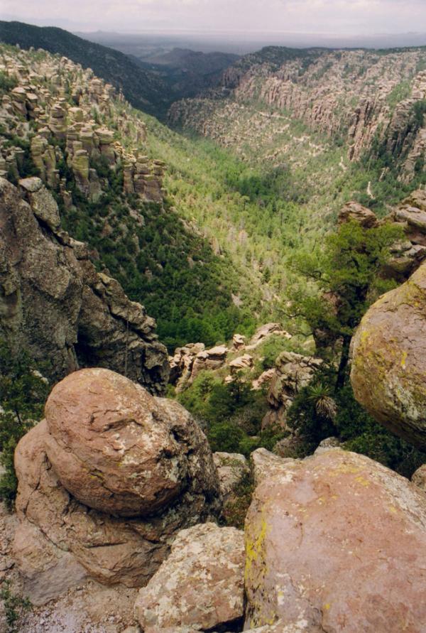 madrean-album-6-chiricahua-110112