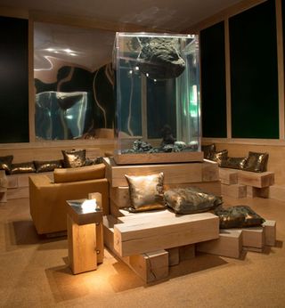 An aquarium in lounge area