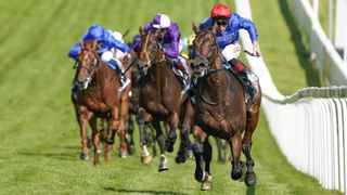 Horses running the final straight at the Epsom Derby