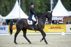Nicola Wilson and Opposition Buzz at Luhmuhlen before their cross-country fall