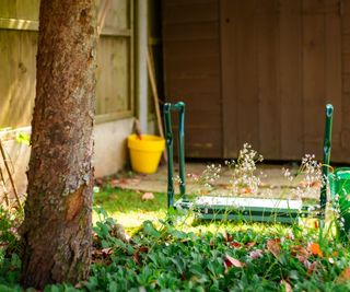 A garden kneeler next to a green trug full of garden waste in the yard