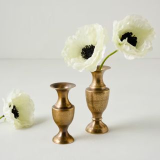 Callin Etched Brass Bud Vase