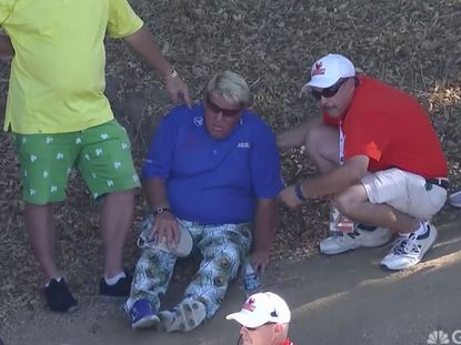 John Daly Collapses
