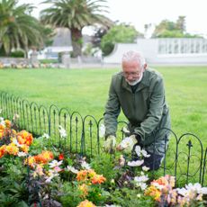 Man in public garden