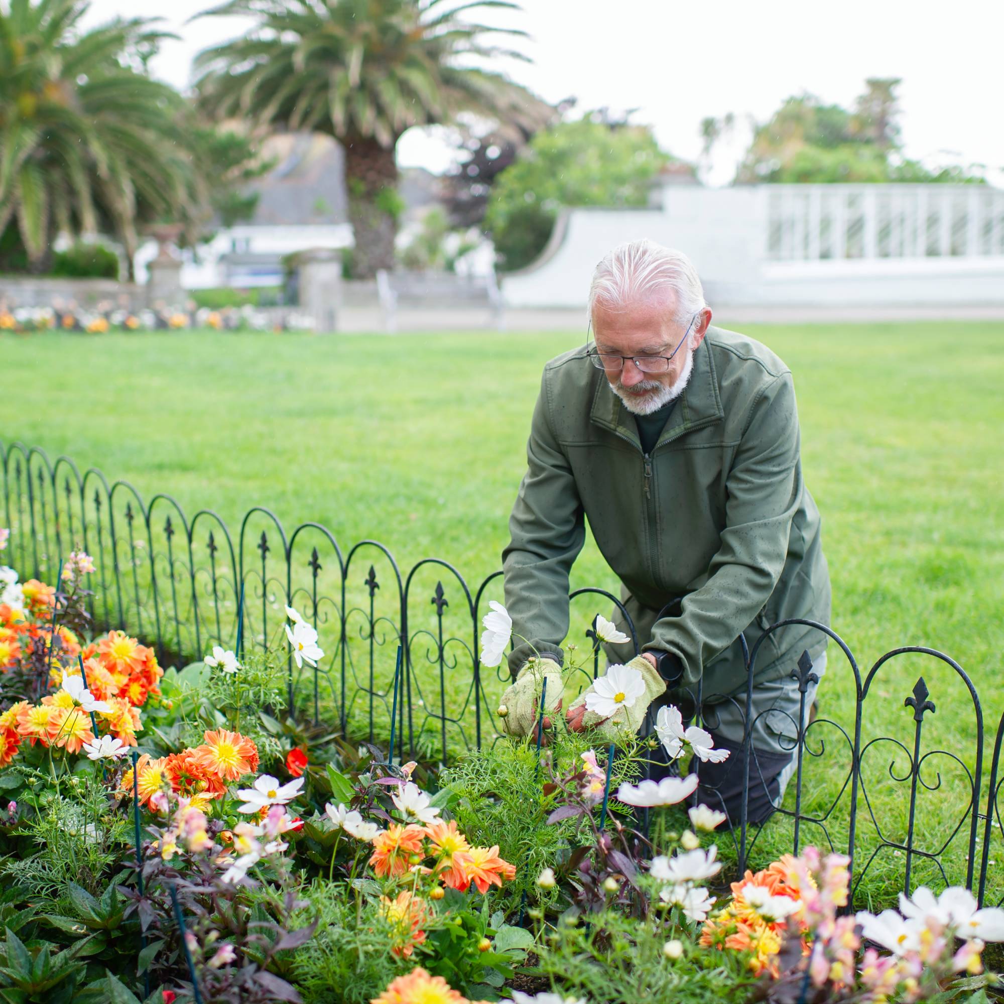 Man in public garden