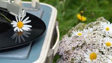 A record player in a field of daisies