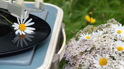 A record player in a field of daisies