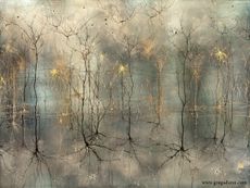 Cortical Columns