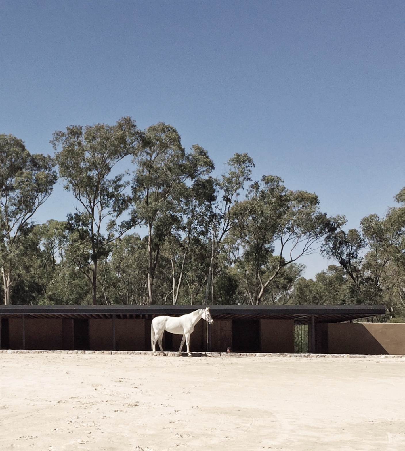 New book celebrates the architecture of Mexican architect Manuel Cervantes and his work, such as the horse stable see here