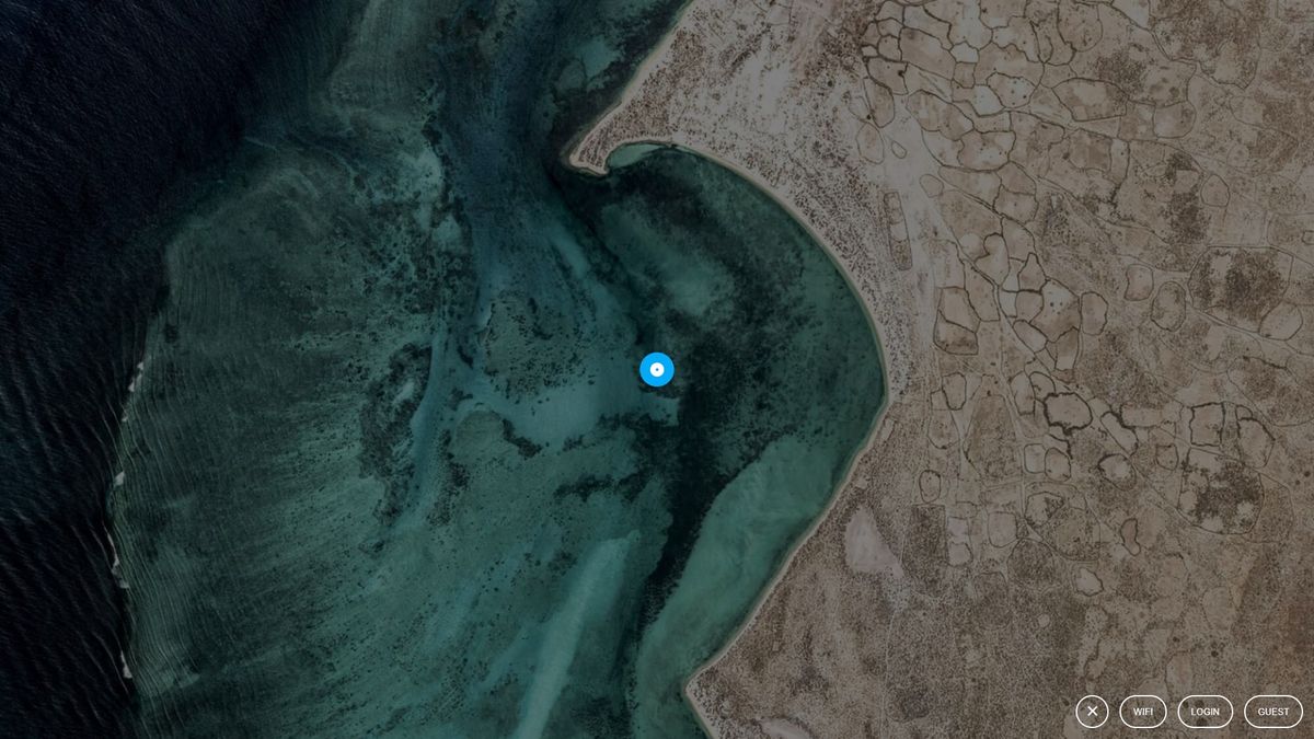 Guest is the only option that works, and it triggers this loading icon when clicked.
