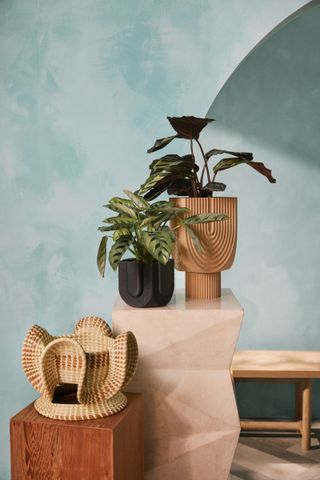 A pedestal with houseplants in pots