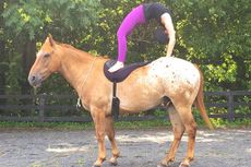 horseyoga4-1.jpg