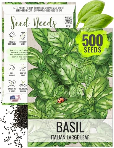 Seed Needs Basil Seeds for Planting Italian Large Leaf Herbs - Non-Gmo Heirloom &amp;amp; Untreated - Grow an Indoor or Outdoor Home Grown Herb Garden (1 Pack)