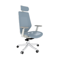 FLEXISPOT Office Chair Home Office Desk Chairs with Wheels Computer Chair  with Lumbar Support Swivel Headrest Green - Yahoo Shopping