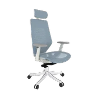 FlexiSpot BS11 Prowas £419now £369 at FlexiSpot