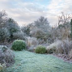 Garden and lawn covered in frost