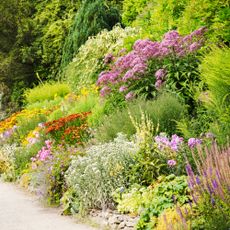 mixed border of flowers - Mint Images - GettyImages-691039447