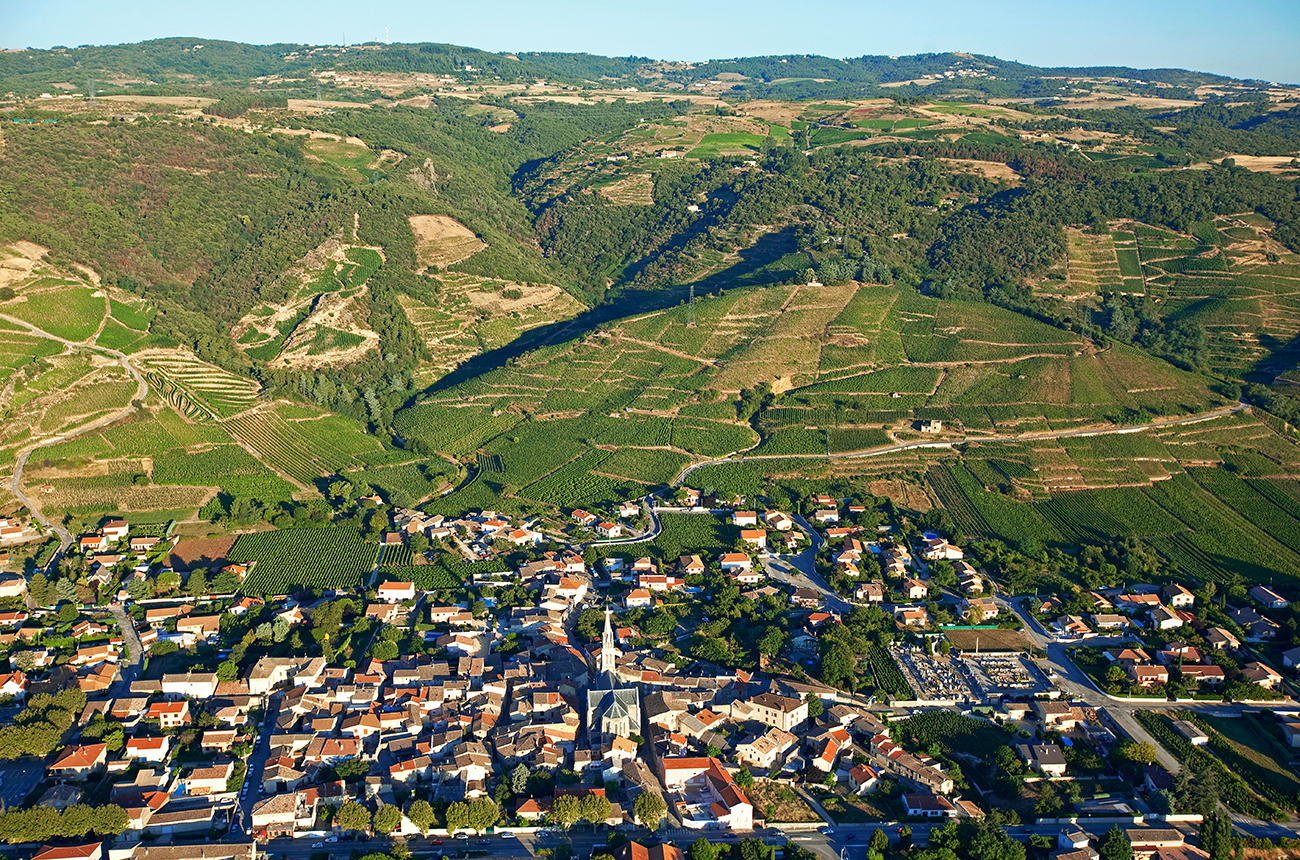 Cornas &amp; St-P&eacute;ray 2020