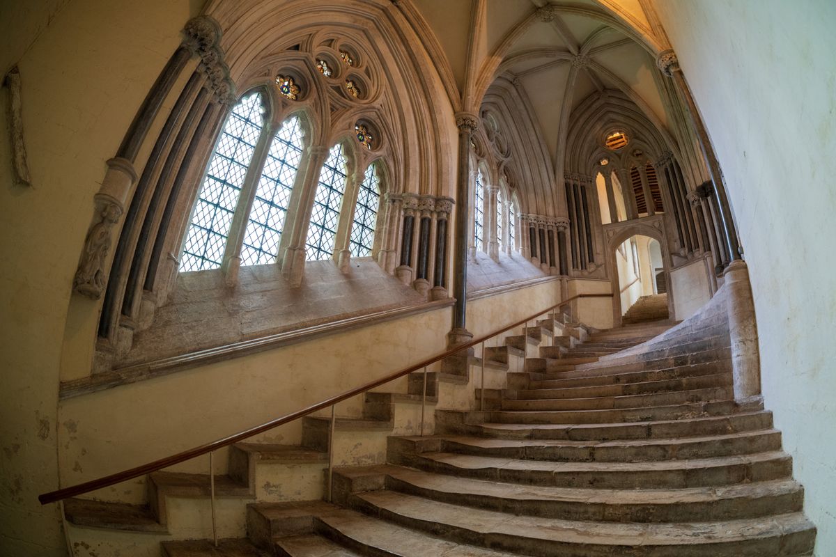 Sigma 15mm F1.4 DG DN Diagonal Fisheye Art