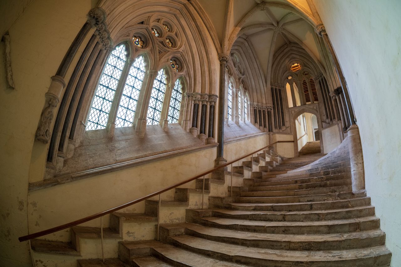 Sigma 15mm F1.4 DG DN Diagonal Fisheye Art