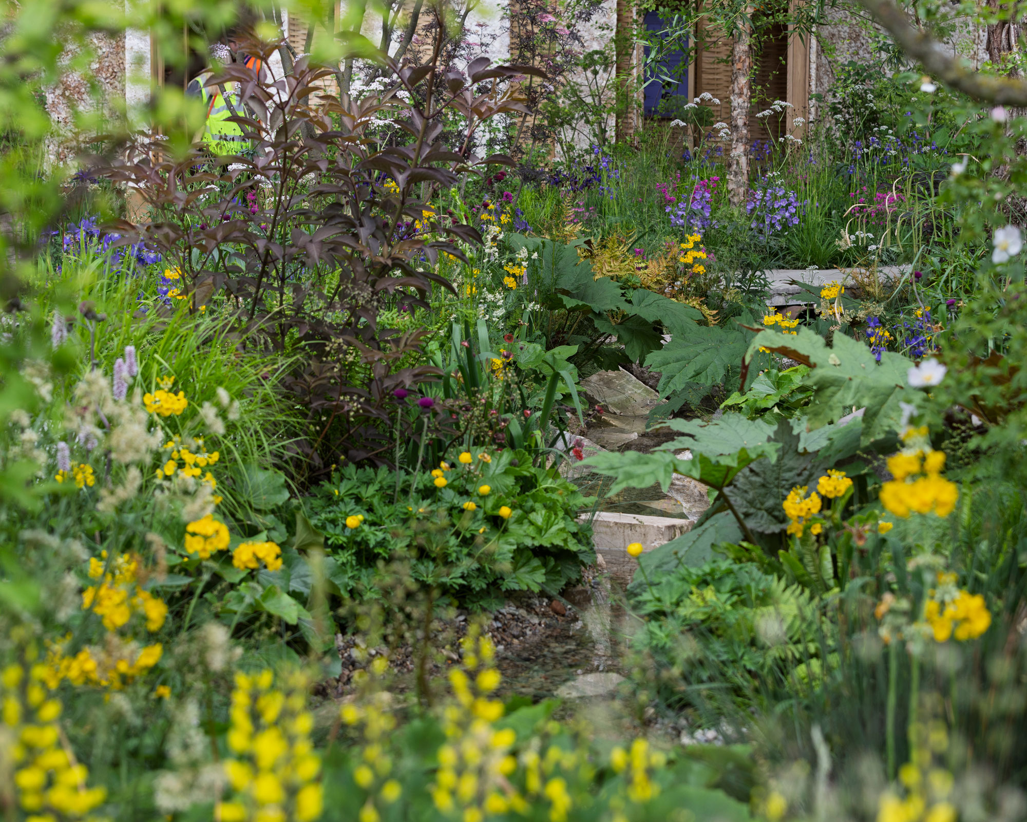 yellow planting design in naturalistic border