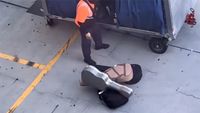 Guitars baggage handler LAX