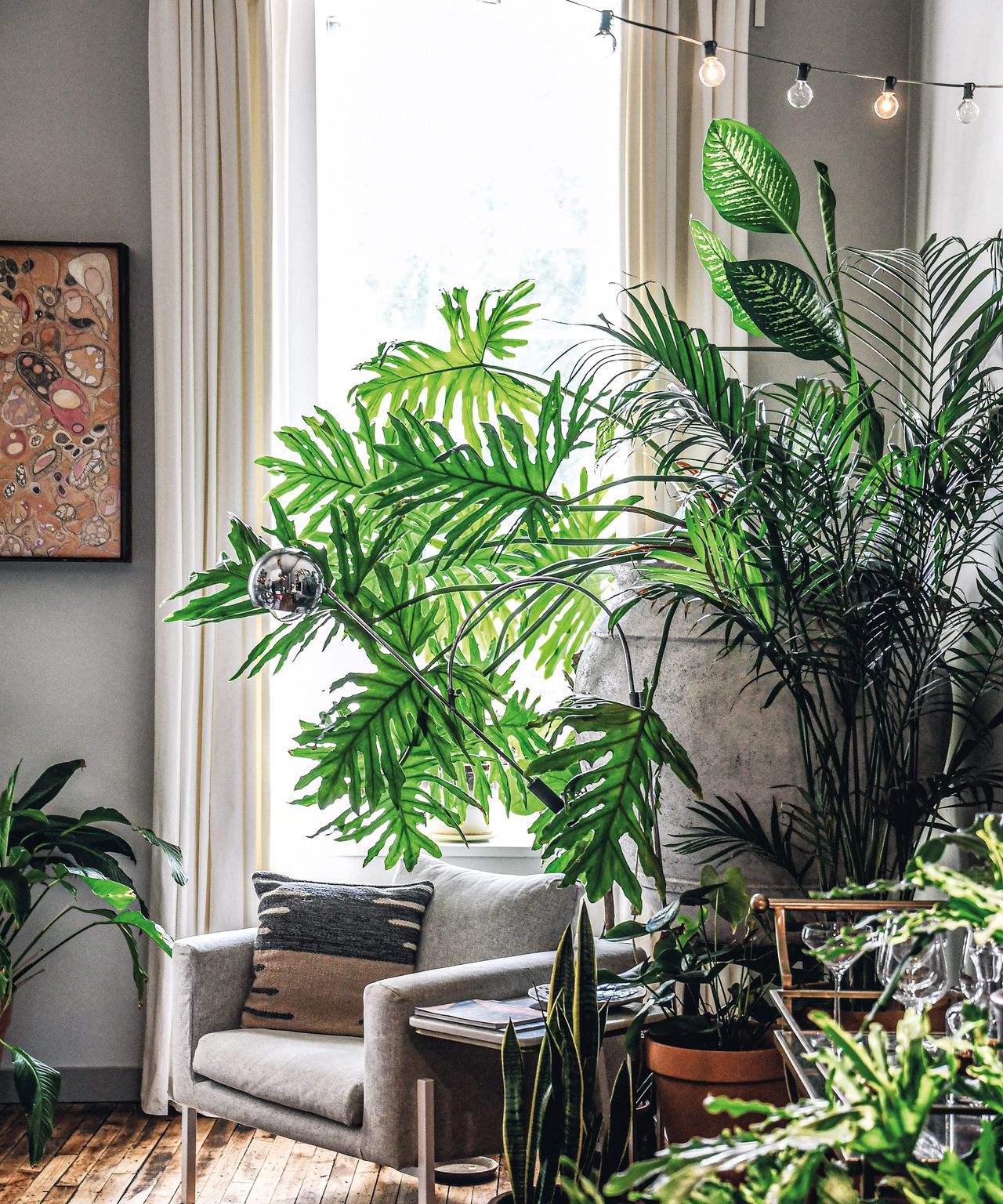 Learn how to style your houseplants like a professional