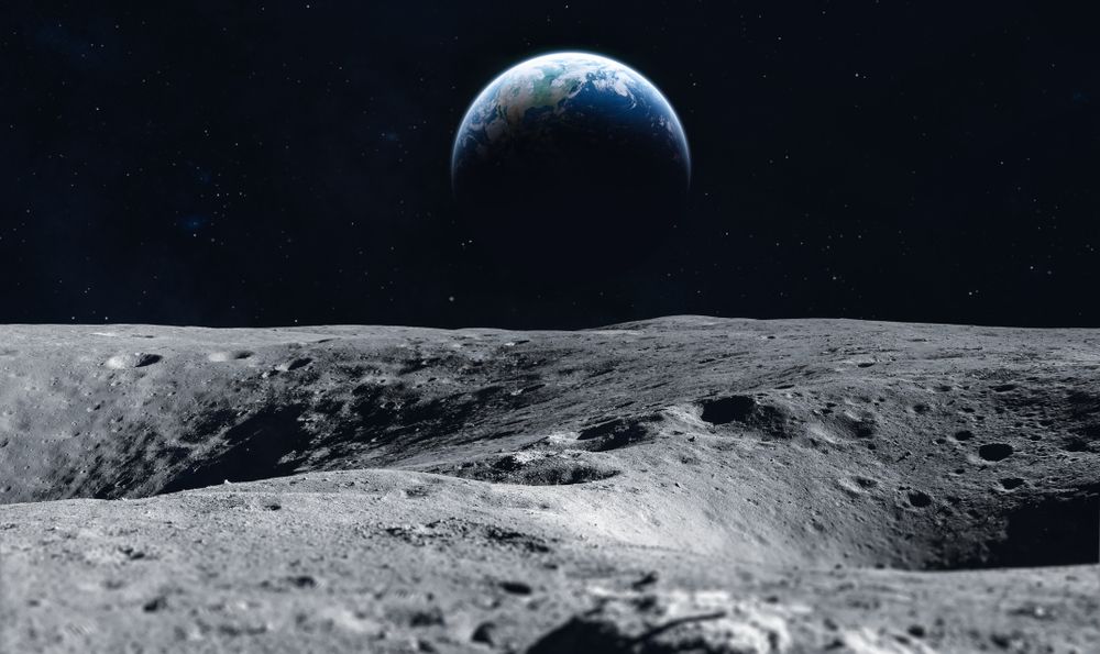 Scientists want to store DNA of 6.7 million species on the moon, just in case