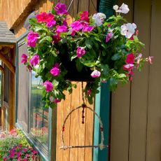 DIY hummingbird swing under hanging basket