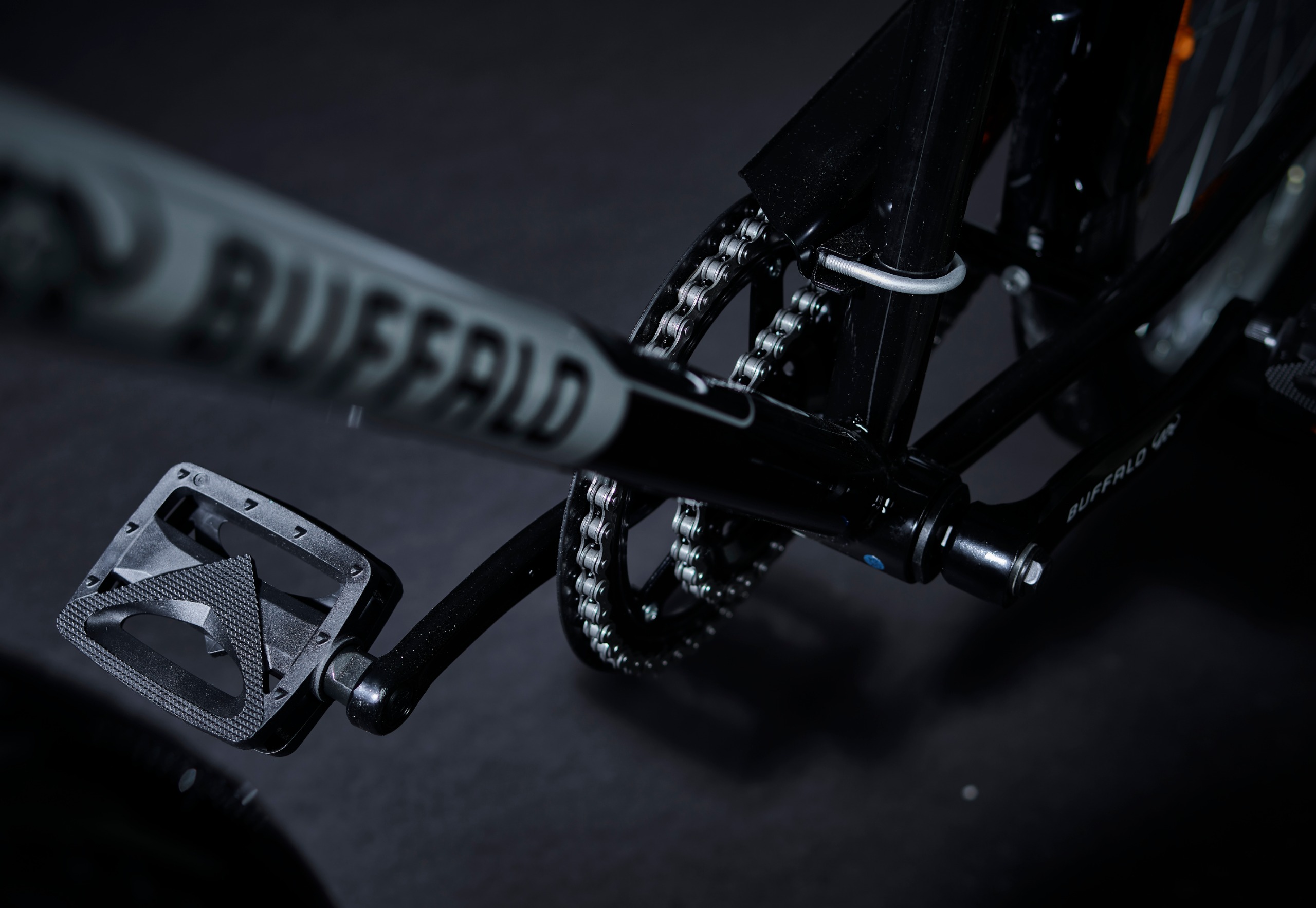 The dual chainring of the Buffalo Pro bike