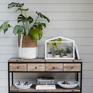 Grey wood panelling behind a small wooden console table with plants on it