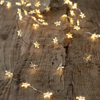 Extra-Long Star Fairy Lights – 80 Bulbs: £22/$32 | The White Company