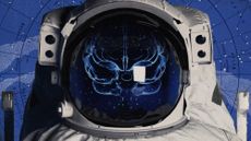 Photo collage of a space suit containing a diagram of the human brain