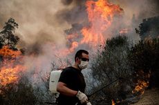 chile fires, vineyards damaged