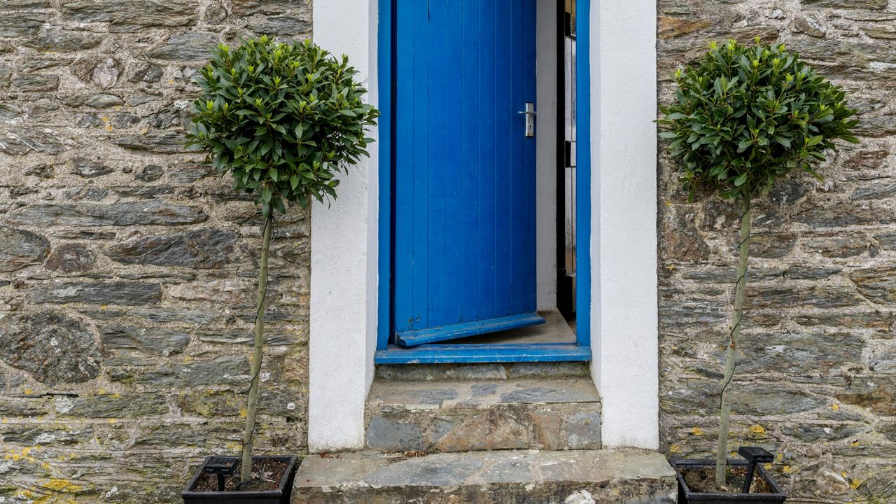 Stone house with bright blue front door and two potted bay trees