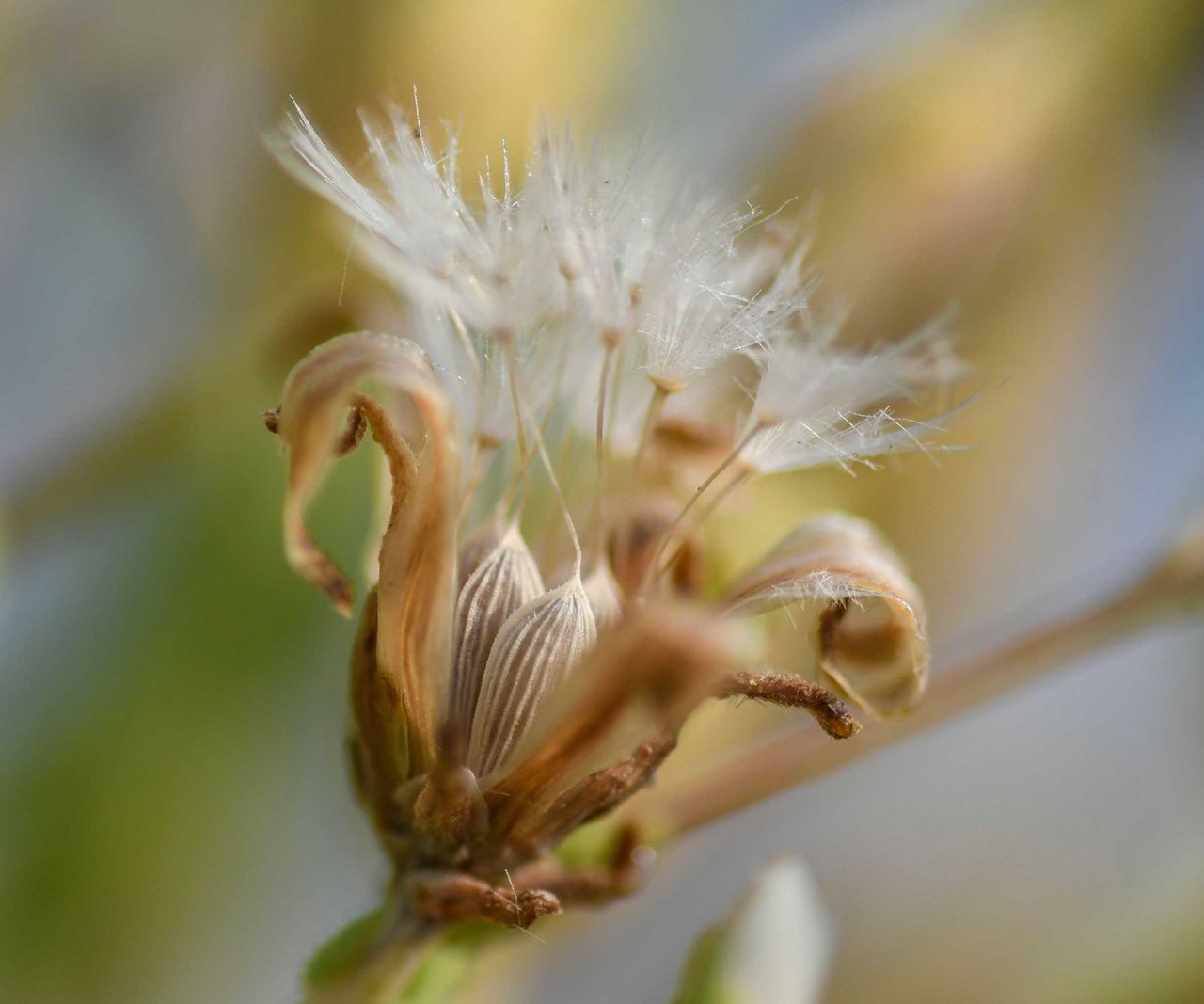 Seed storage mistakes: 7 expert tips for storing seeds | Homes and Gardens