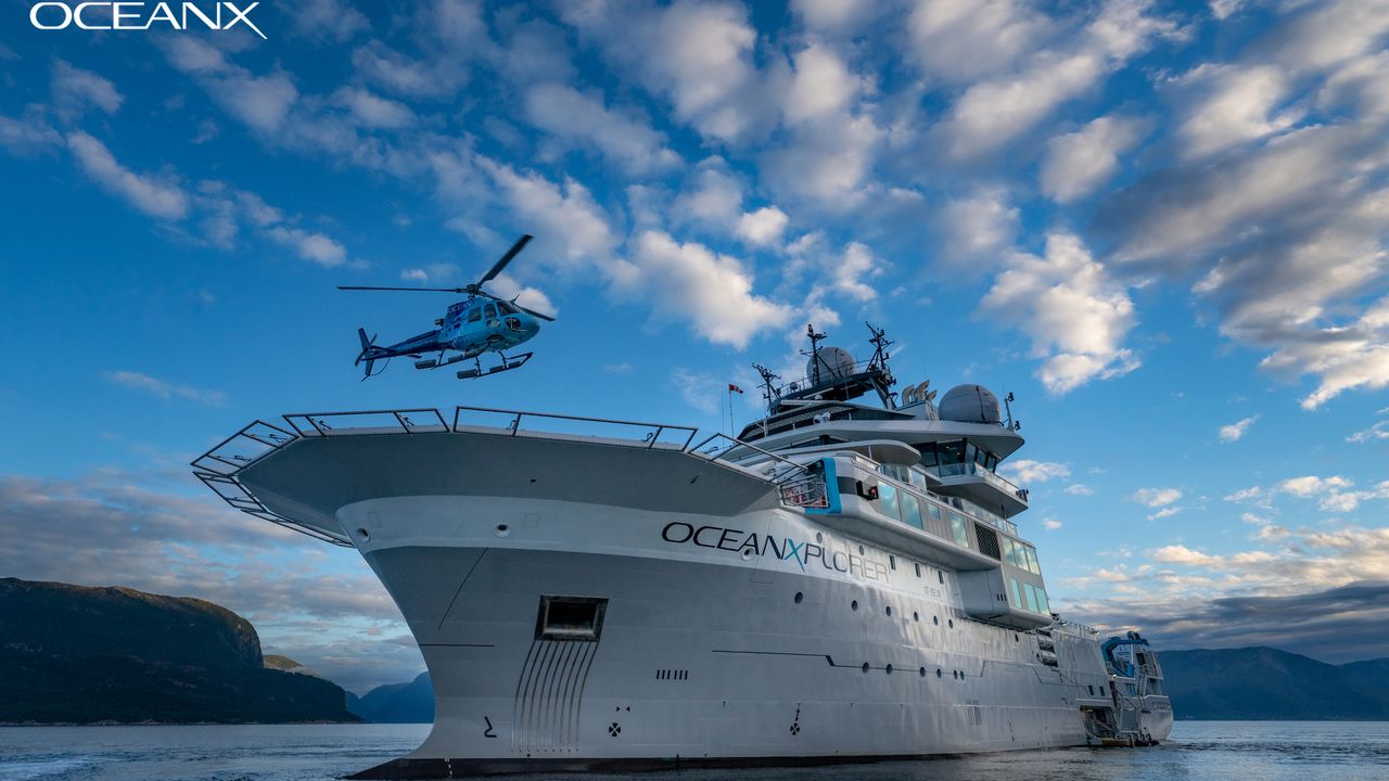 The OceanX crew on board the OceanXplorer ship spotted the purpleback flying squid in 2020 near a shipwreck.