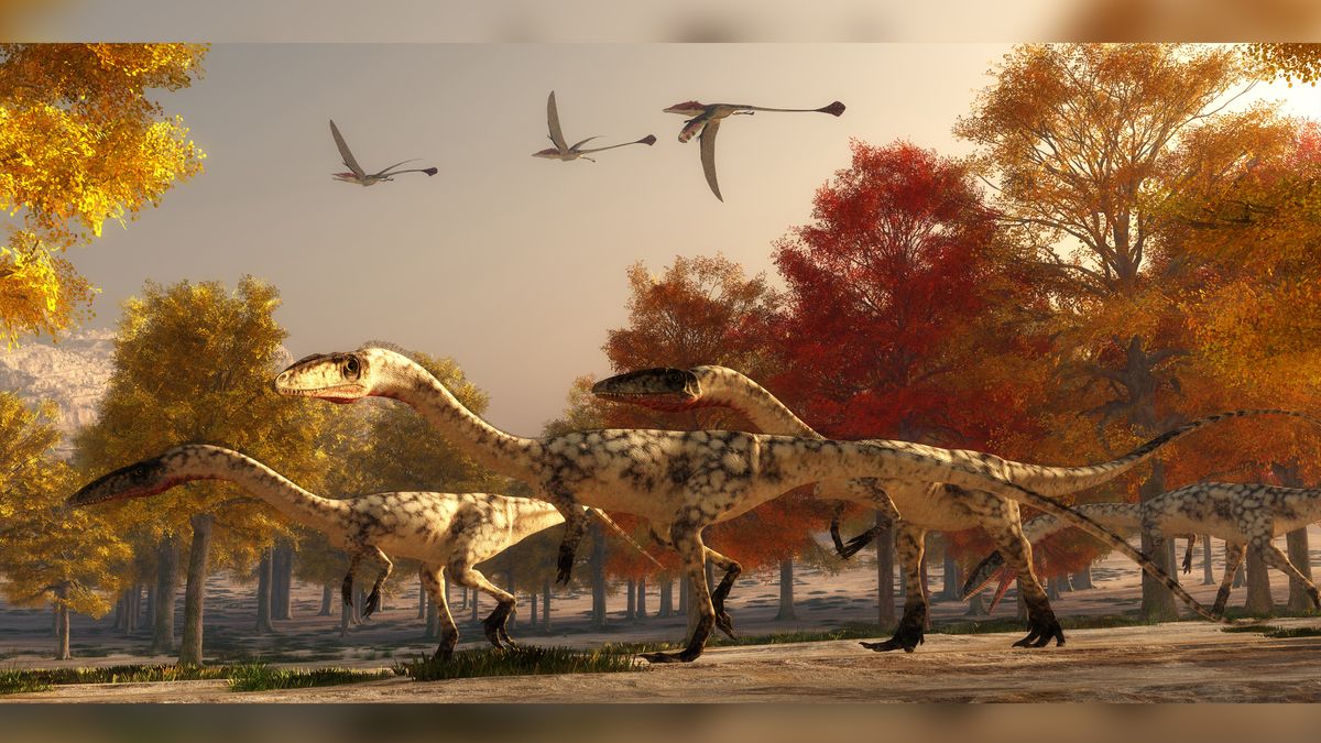 A group of Coelophysis, bipedal dinosaurs that lived during the Triassic period.