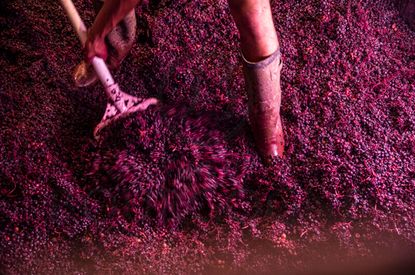 0094_Decuvage_Rouges_17092018_1891_maSelection.jpg